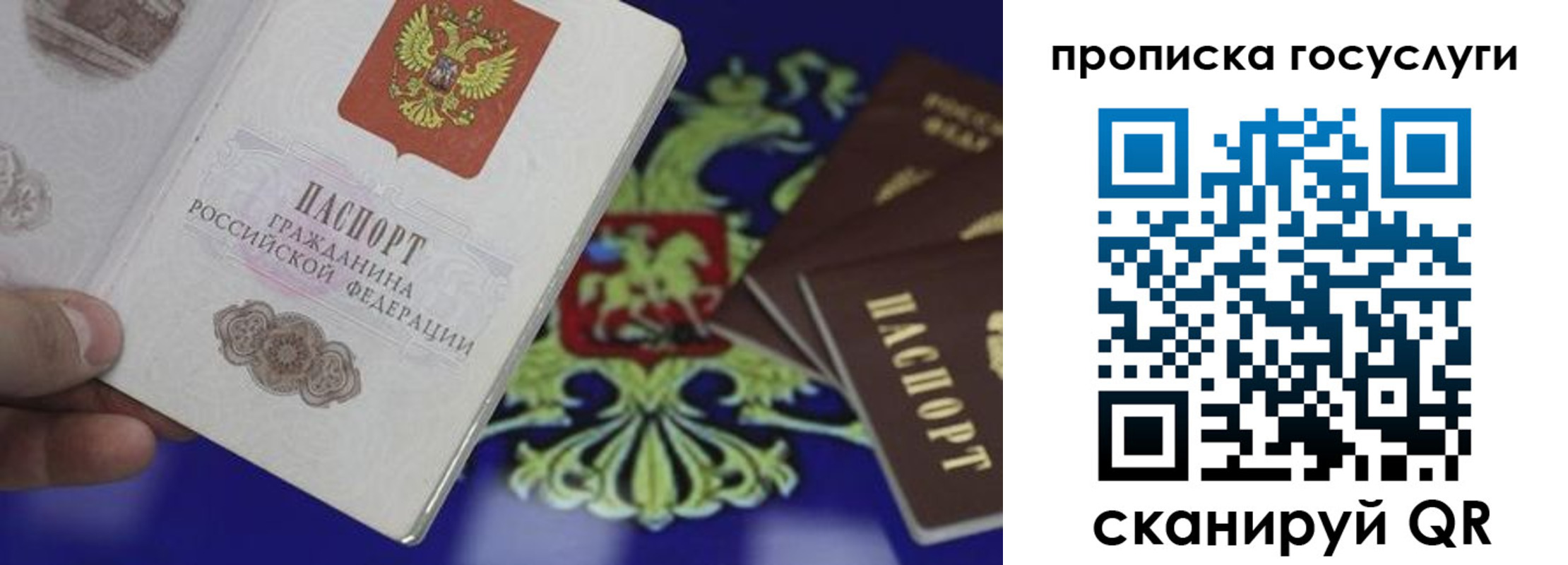 прописка для школы в Балашихе